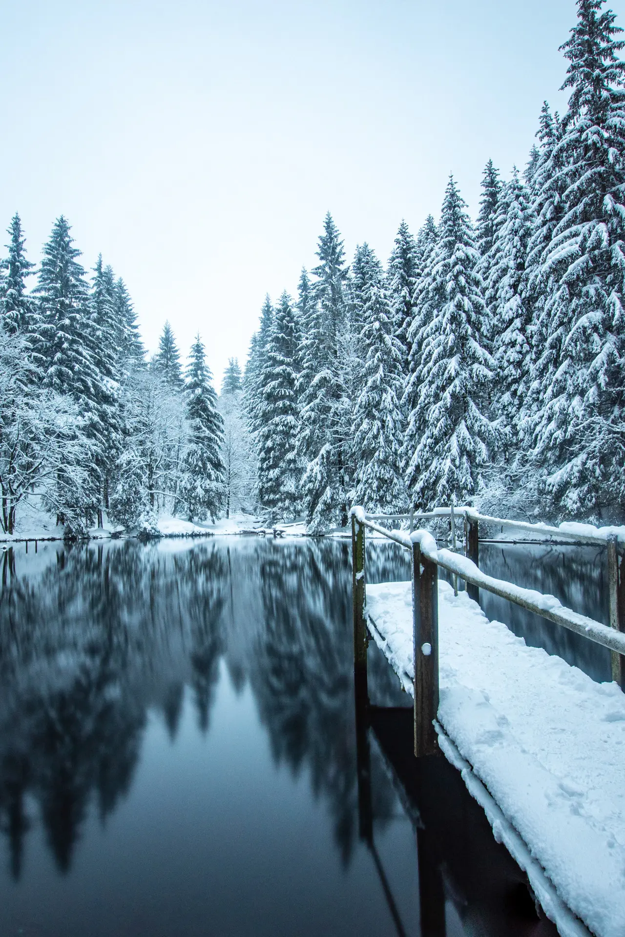 Verschneiter Uferbereich mit Geländer, das Wasser spiegelt die Bäume.