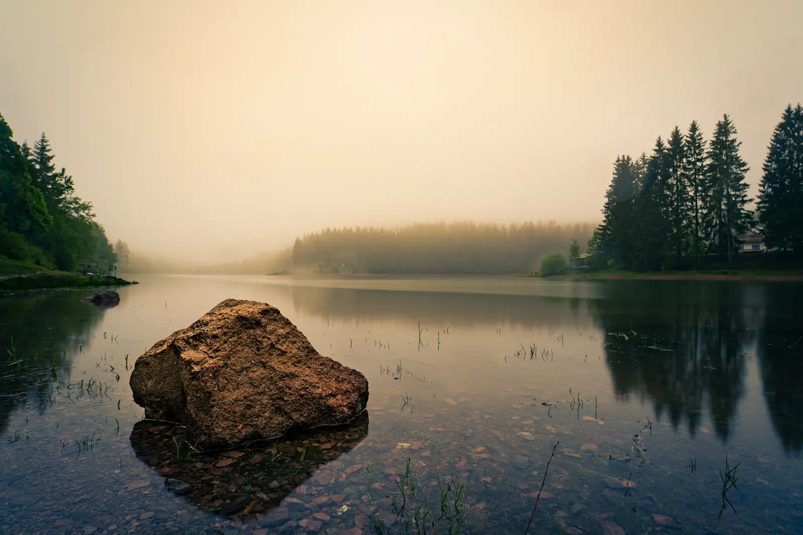 Großer Stein im spiegelglatten Wasser, dahinter Nadelwald im Morgennebel.