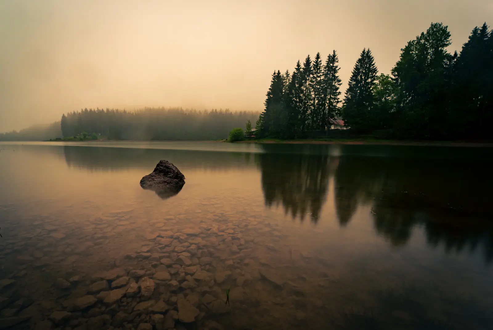 Findling im flachen Wasser einer Talsperre, Nebel über dem Wald am gegenüberliegenden Ufer.