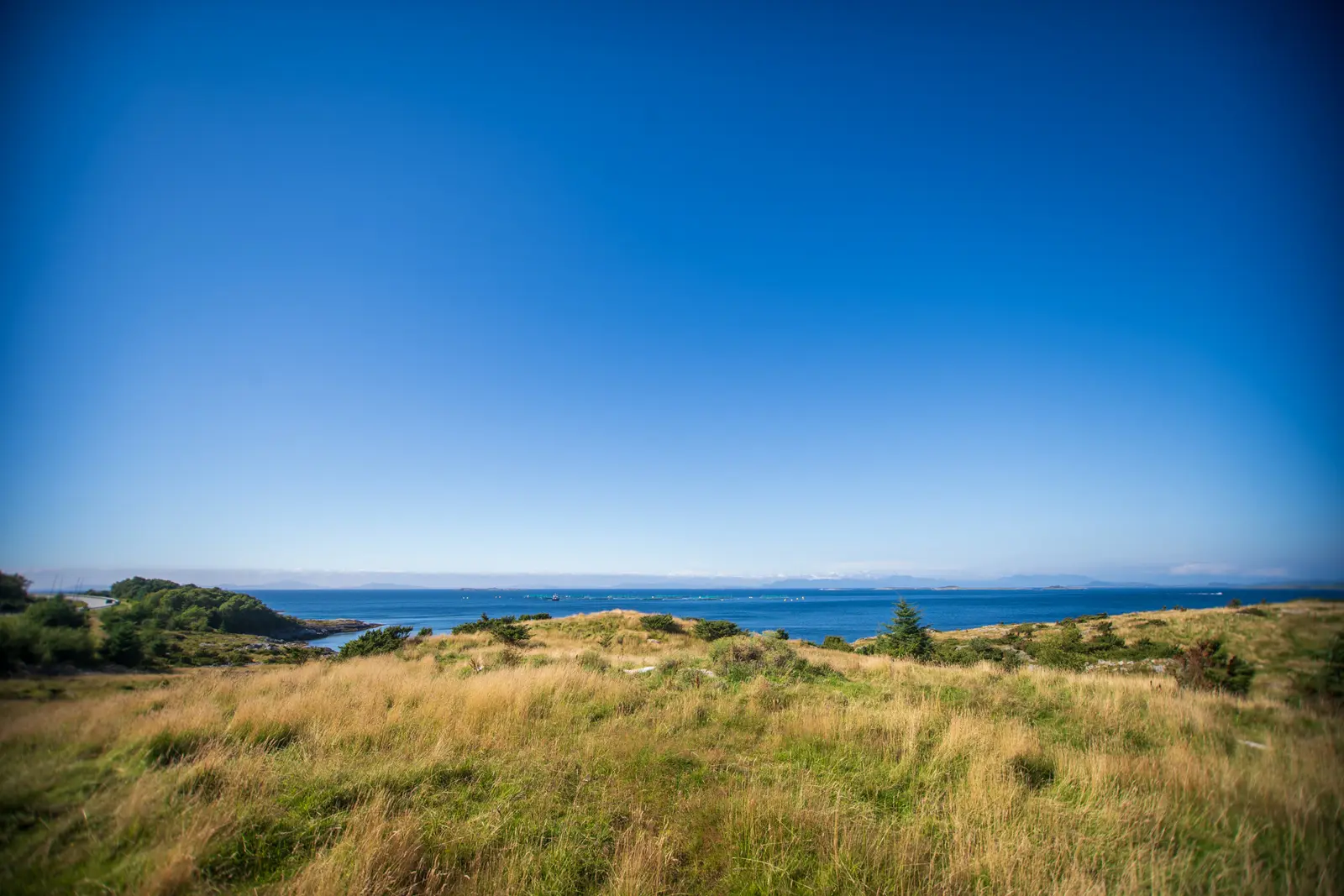 Grasbewachsene Kuppe über dem Meer unter tiefblauem Himmel.